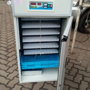 Key Machines for Efficient Poultry Farming in Kenya