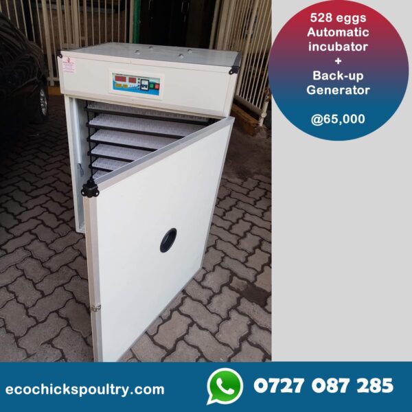 Digital Equipment 528 Eggs Automatic Incubator