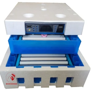Automatic Incubators for Sale