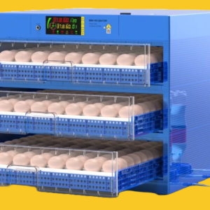 Egg incubators for sale in Kenya