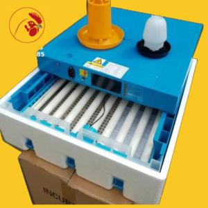 Small Solar Egg Incubator Price in Kenya