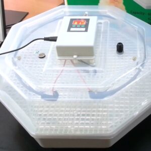 60 Eggs LED Display Incubators