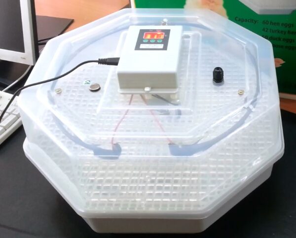60 Eggs LED Display Incubators