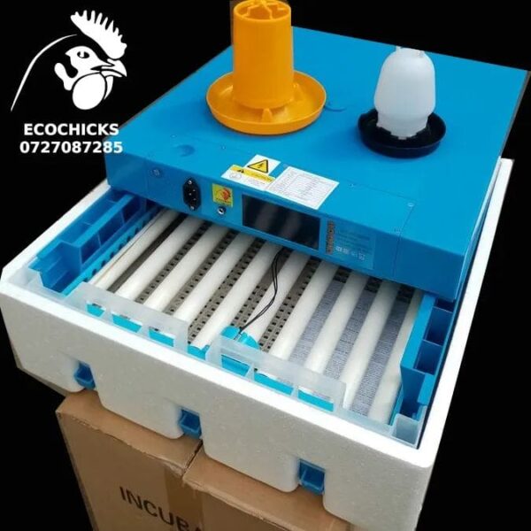 64 Eggs Incubator with 360° Automatic Egg Turning and Humidity Control Household Mini Egg Incubator Breeder for Chicken, Ducks, Birds 110V/12V