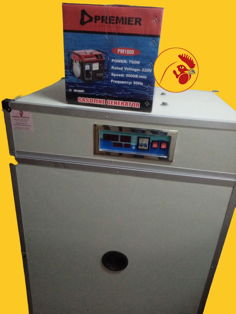 1056 egg incubator price in kenya