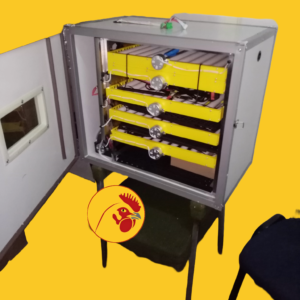 300 Eggs Solar Incubator