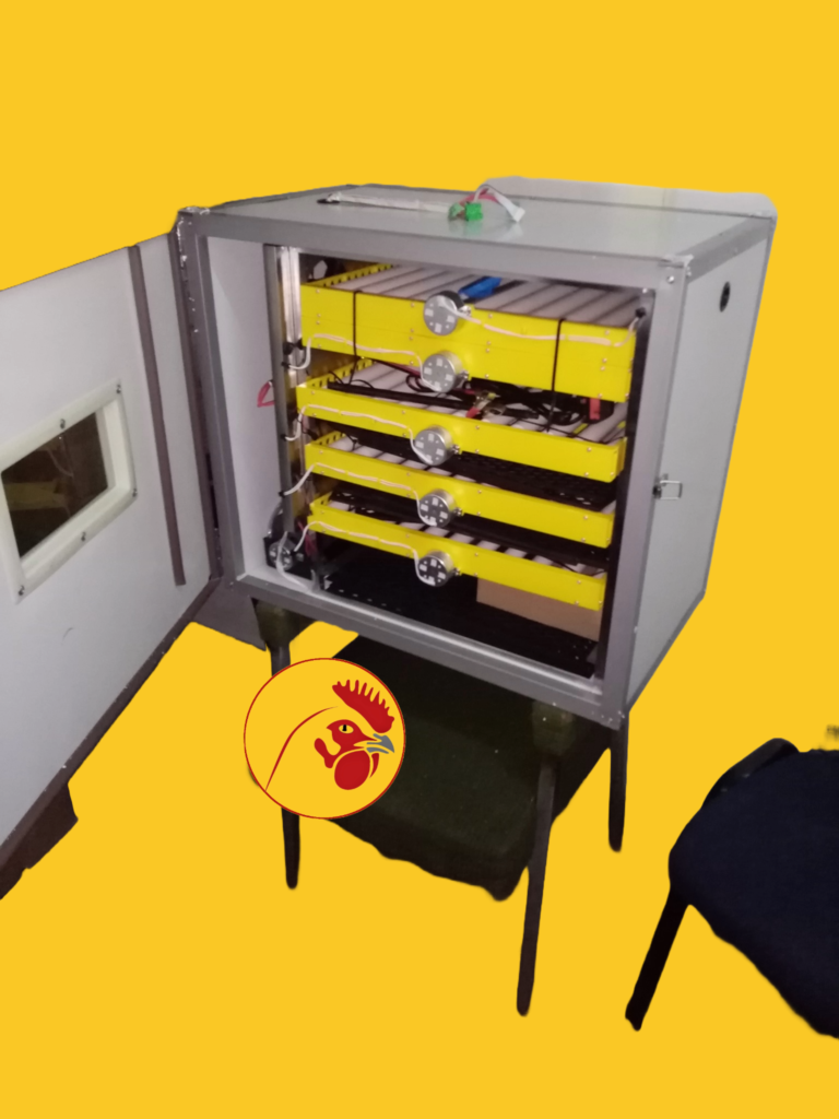 300 Eggs Solar Incubator