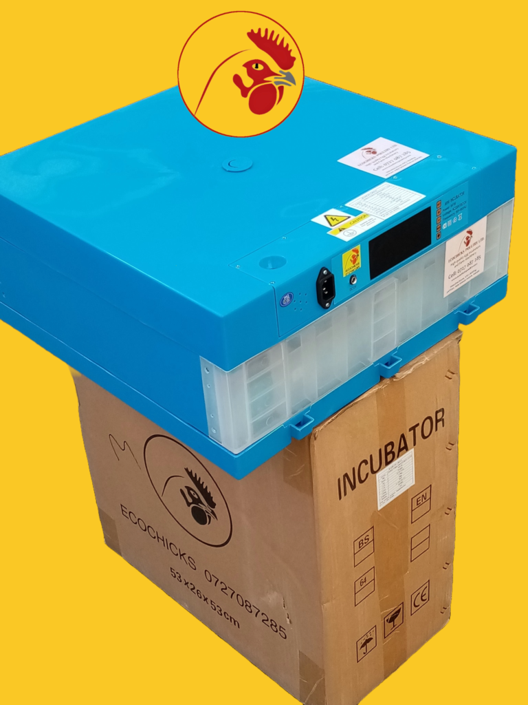 64 Eggs Solar incubator Price in Kenya