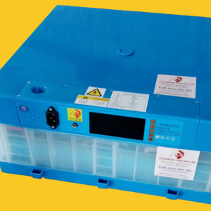 Solar Egg Incubator