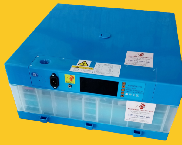 Solar Egg Incubator