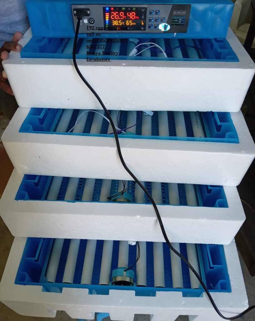 256 Eggs solar Incubator