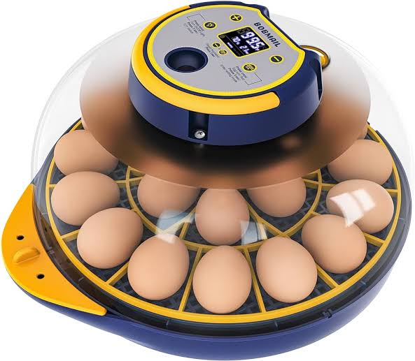 18 Egg Automatic Incubator | Solar & AC/DC | Digital Display - Image 5