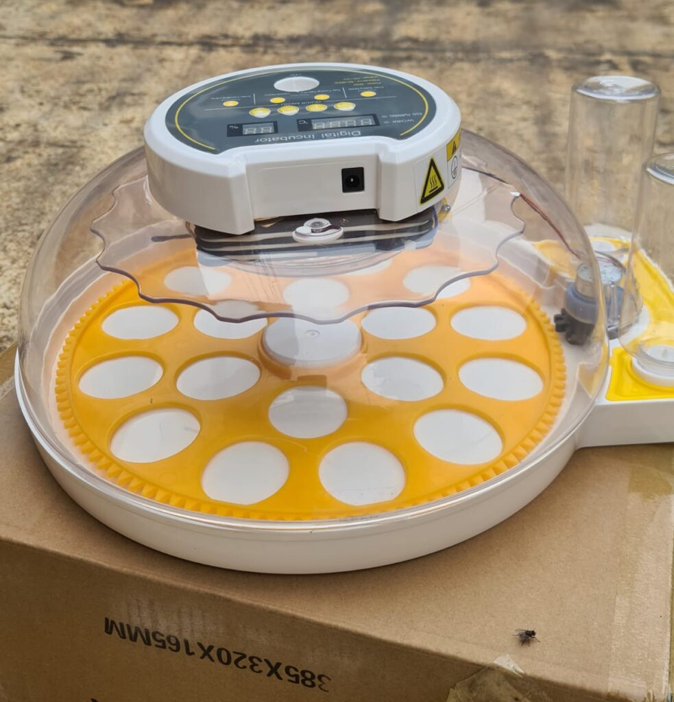 18 Egg Automatic Incubator