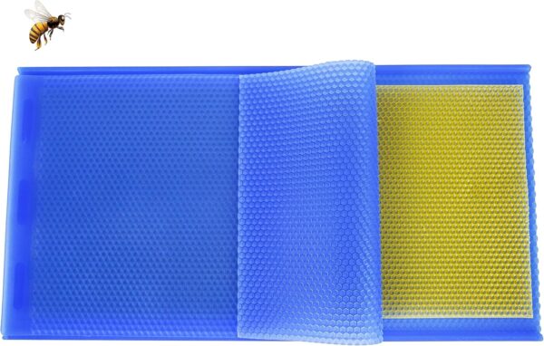 Beeswax Silicone Foundation Mold